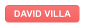 DAVID VILLA