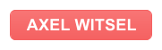 AXEL WITSEL